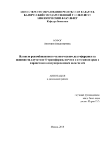 Murog resume - Белорусский государственный университет