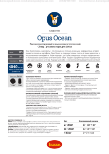 Opus Ocean