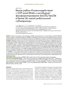 Белок рабин-8 взаимодействует c GTP