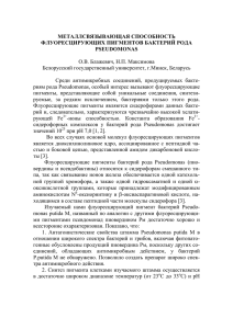PDF - 151,4 Кб - Белорусский государственный университет