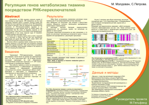 Регуляция генов метаболизма тиамина посредством РНК