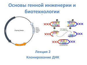 Классическая генная инженерия (pdf, 3489КБ)