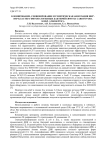 PDF - 338 Кб. - Белорусский государственный университет