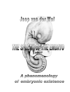 The Speech of the Embryo Язык эмбриона 2014 RUS article