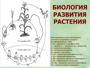 Lecture number 15. "Биология развития растений"