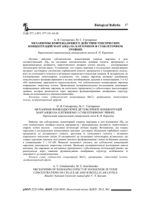 Biological Bulletin  47 МЕХАНИЗМЫ ПОВРЕЖДАЮЩЕГО ДЕЙСТВИЯ ТОКСИЧЕСКИХ