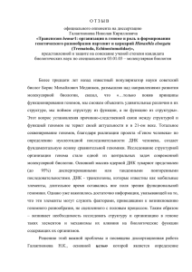 Отзыв официального оппонента Н.В. Цымбаленко