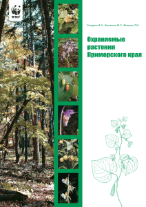 Охраняемые растения Приморского края