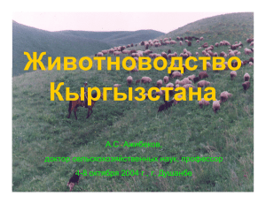 Горное животноводство Кыргызстана