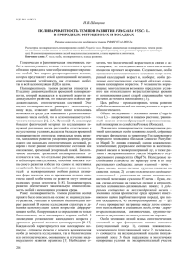 Поливариантность темпов развития Fragaria Vesca L. в
