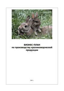 БИЗНЕС-ПЛАН по производству кролиководческой продукции