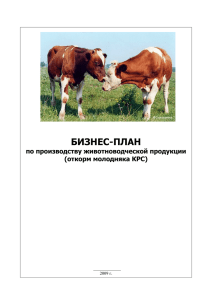 Бизнес-план по производству животноводческой продукции