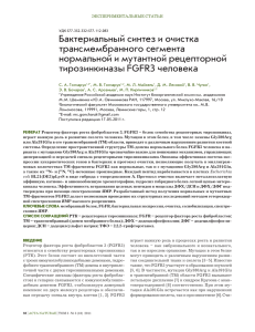 Бактериальный синтез и очистка трансмембранного сегмента нормальной и мутантной рецепторной тирозинкиназы FGFR3 человека
