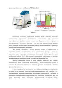 Анализатор клеточного метаболизма XFe96 Analyzer Рисунок 1