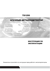 Руководство по эксплуатации арочного металлодетектора TS-1250