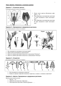 Тема: Цветок. Строение и значение цветка Задание 1. «Строение цветка»