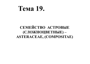 Тема 19. СЕМЕЙСТВО  АСТРОВЫЕ (СЛОЖНОЦВЕТНЫЕ) – ASTERACEAE, (COMPOSITAE)