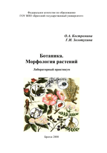 Костромина О.А. Ботаника.Морфология растений.2008