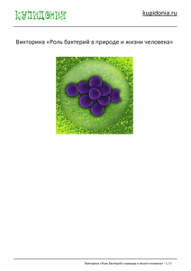 Викторина «Роль бактерий в природе и жизни человека»