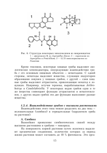 15 Кроме токсинов, некоторые хищные грибы выделяют эко