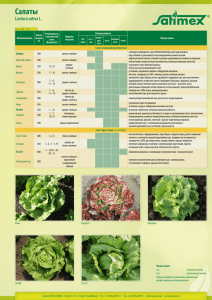 Салат и листовые культуры