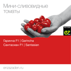 Мини-сливовидные томаты