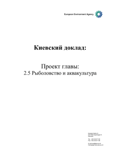 Киевский доклад
