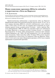 Miliaria calandra в окрестностях «Леса на Ворскле» Т.П.Дьяконова