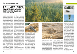 Статья о защите леса
