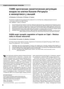 ГАМК-эргическая синаптическая регуляция входов на клетки Кахаля–Ретциуса в неокортексе у мышей
