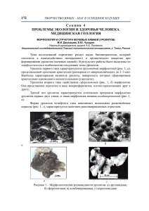 Морфология и структура мочевых камней (уролитов)