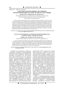 836 fundamental research № 7, 2014 scientific reviews     клеточно