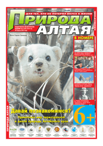Природа Алтая - Природа Сибири