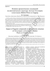 Влияние ароматических соединений Tetrastigma voinierianum Веснік ВДУ. 2012. № 1(67)
