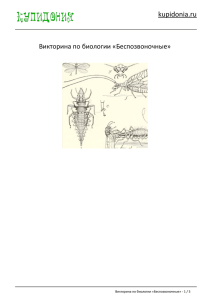 Викторина по биологии «Беспозвоночные