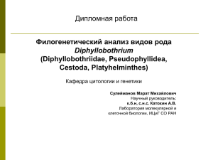 Филогенетический анализ видов рода Diphyllobothrium