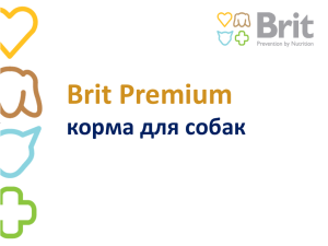 BRIT Premium Dog. Презентация