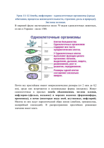 Урок 11-12 Амеба, инфузория – одноклеточные организмы