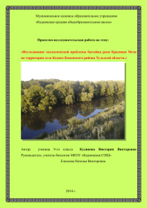 Исследование экологической проблемы бассейна реки Красивая