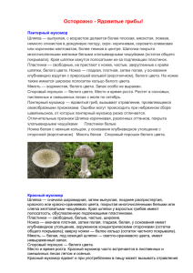 Осторожно - Ядовитые грибы