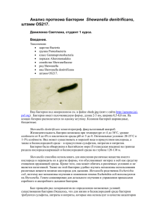 Анализ протеома бактерии S