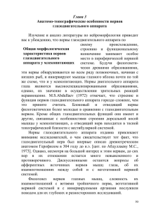 Глава 3 Анатомо-топографические особенности нервов глазодвигательного аппарата