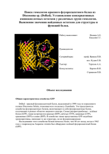 Поиск гомологов красного флуоресцентного белка из Discosoma sp. (DsRed). Установление консервативных
