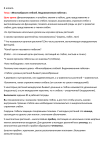 6 класс. Тема: «Многообразие стеблей. Видоизменения побегов