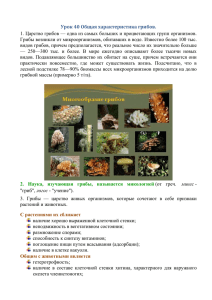 Урок 40 Общая характеристика грибов.