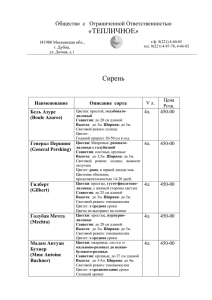 Сирень в Дубне - ООО "Тепличное" г. Дубна