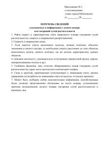 Приложение № 3 к постановлению главы города Райчихинска от _________ № ________