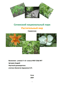 Сочинский национальный парк. Растительный мир