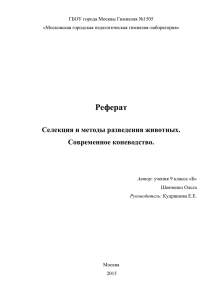 prod-3296-vizitkashevchenko2