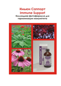 Коллоидная фитоформула Имьюн Саппорт (Immunе Support)
